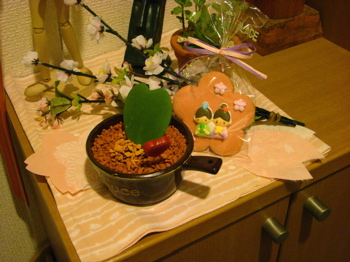 0902-hinamaturi.jpg