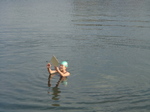 ColdWateSwim-9.jpg
