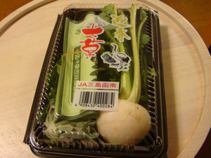 nanakusa_100108.jpg